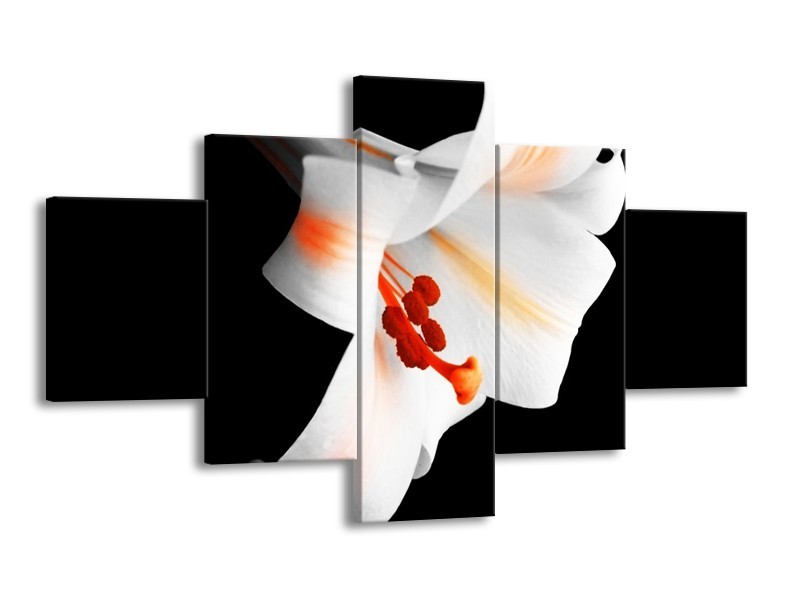 Canvas schilderij Bloem | Zwart, Wit, Oranje | 125x70cm 5Luik