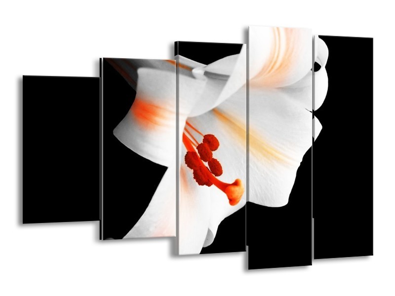 Canvas schilderij Bloem | Zwart, Wit, Oranje | 150x100cm 5Luik