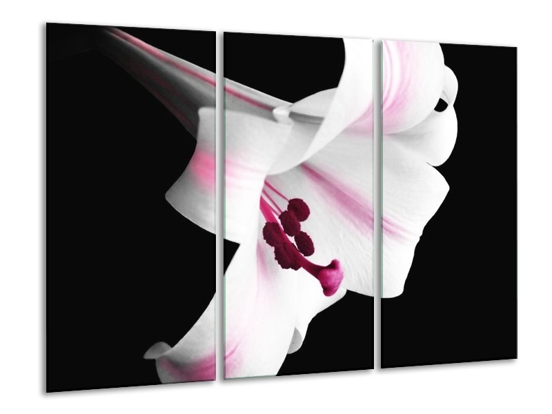 Canvas schilderij Bloem | Zwart, Wit, Paars | 120x80cm 3Luik