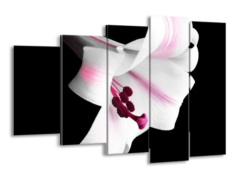 Canvas schilderij Bloem | Zwart, Wit, Paars | 150x100cm 5Luik