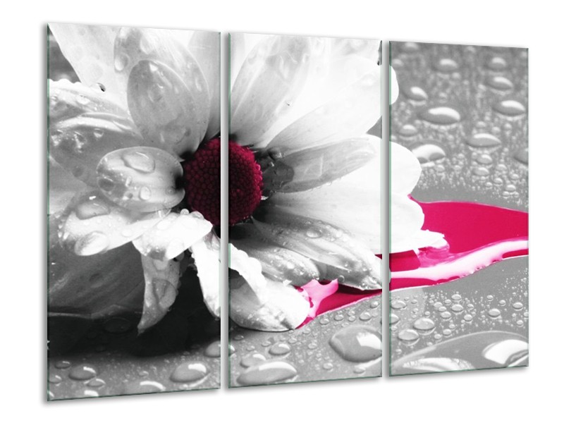 Canvas schilderij Bloem | Grijs, Wit, Roze | 120x80cm 3Luik