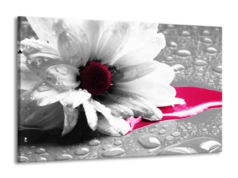Canvas schilderij Bloem | Grijs, Wit, Roze | 140x90cm 1Luik