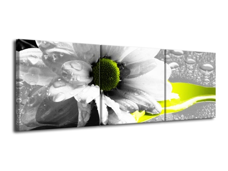 Canvas schilderij Bloem | Grijs, Wit, Geel | 120x40cm 3Luik