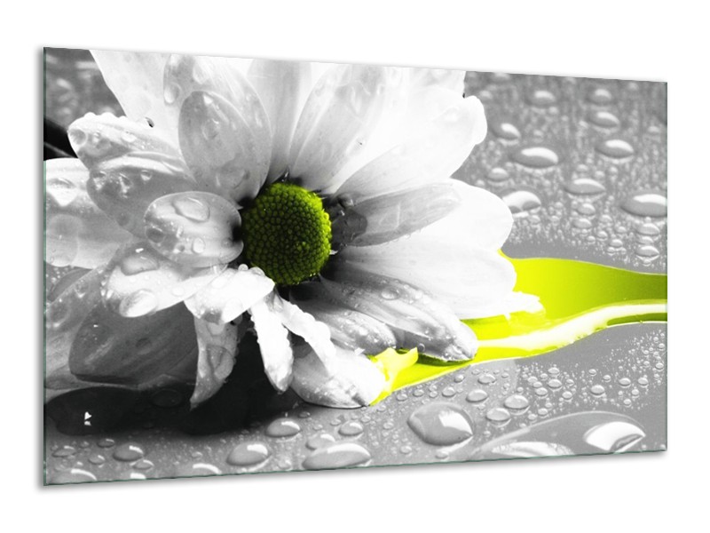 Canvas schilderij Bloem | Grijs, Wit, Geel | 120x70cm 1Luik
