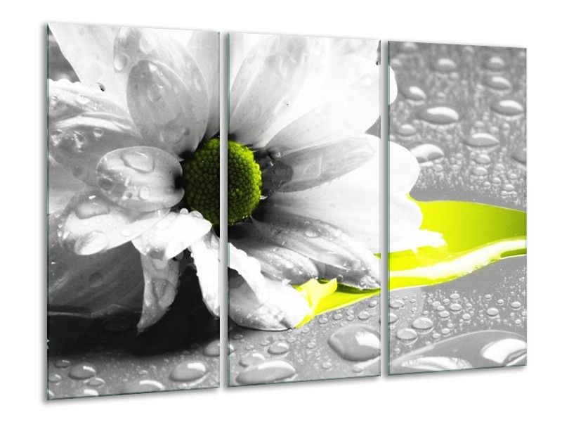 Canvas schilderij Bloem | Grijs, Wit, Geel | 120x80cm 3Luik