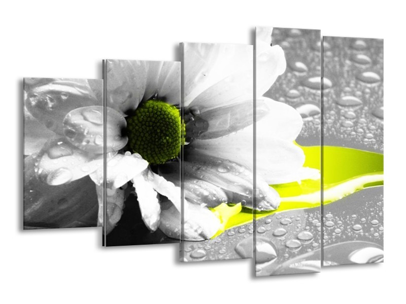 Canvas schilderij Bloem | Grijs, Wit, Geel | 150x100cm 5Luik