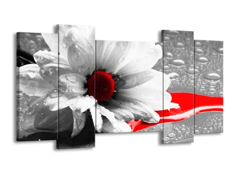 Canvas schilderij Bloem | Grijs, Wit, Rood | 120x65 5Luik