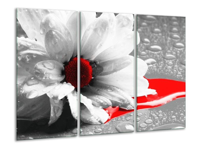 Canvas schilderij Bloem | Grijs, Wit, Rood | 120x80cm 3Luik
