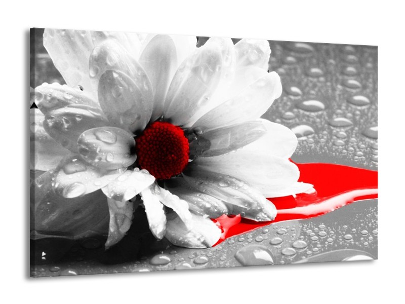 Canvas schilderij Bloem | Grijs, Wit, Rood | 140x90cm 1Luik