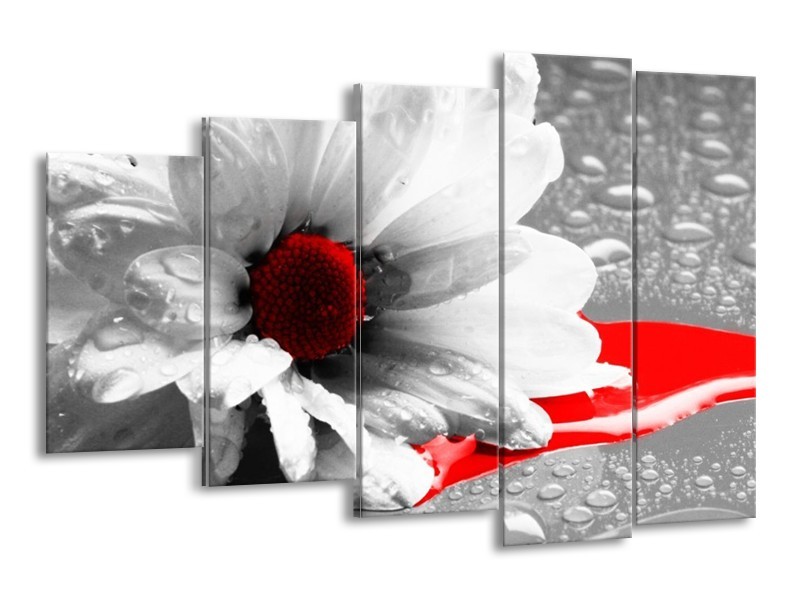 Canvas schilderij Bloem | Grijs, Wit, Rood | 150x100cm 5Luik