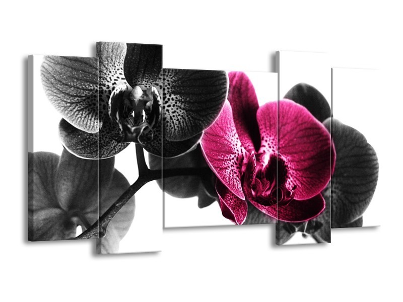 Canvas schilderij Orchidee | Zwart, Wit, Roze | 120x65 5Luik