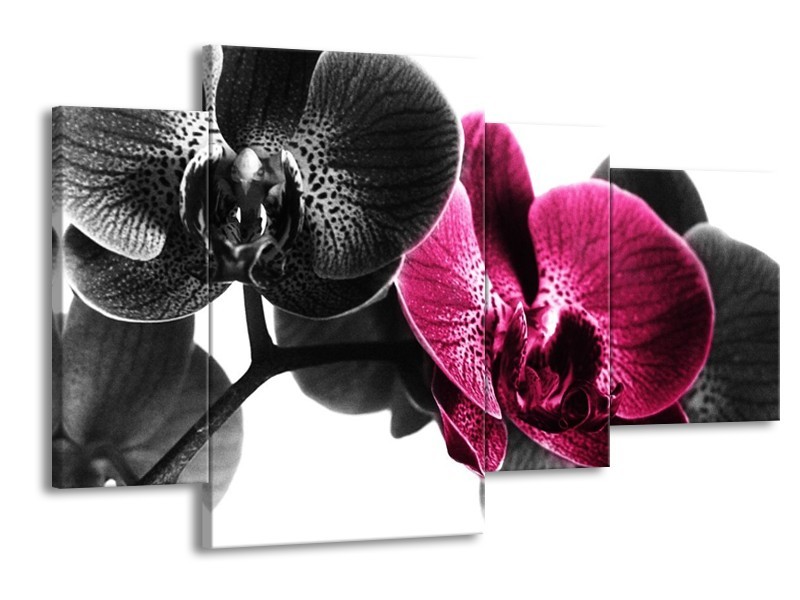 Canvas schilderij Orchidee | Zwart, Wit, Roze | 120x75cm 4Luik