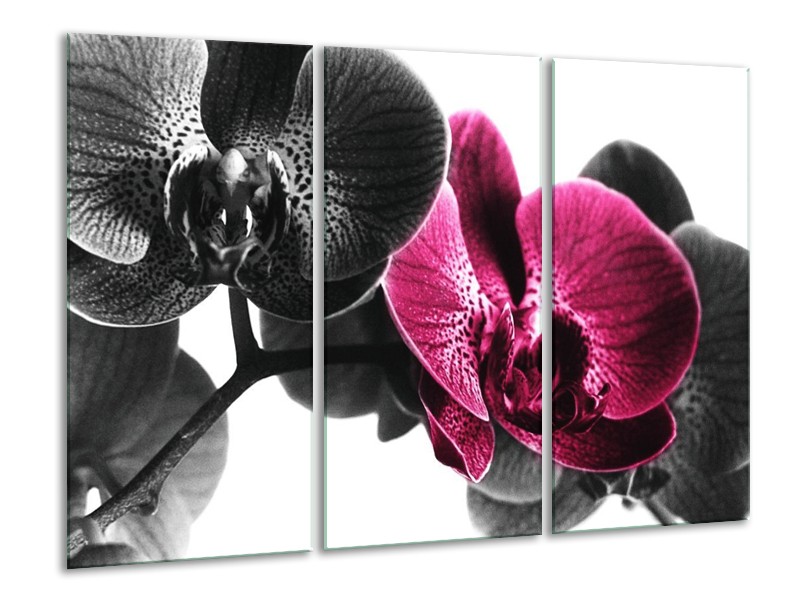 Canvas schilderij Orchidee | Zwart, Wit, Roze | 120x80cm 3Luik