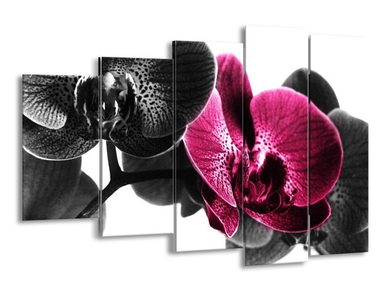 Canvas schilderij Orchidee | Zwart, Wit, Roze | 150x100cm 5Luik