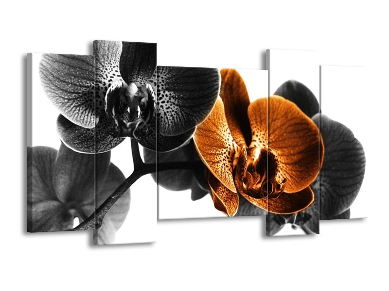 Canvas schilderij Orchidee | Zwart, Wit, Oranje | 120x65 5Luik