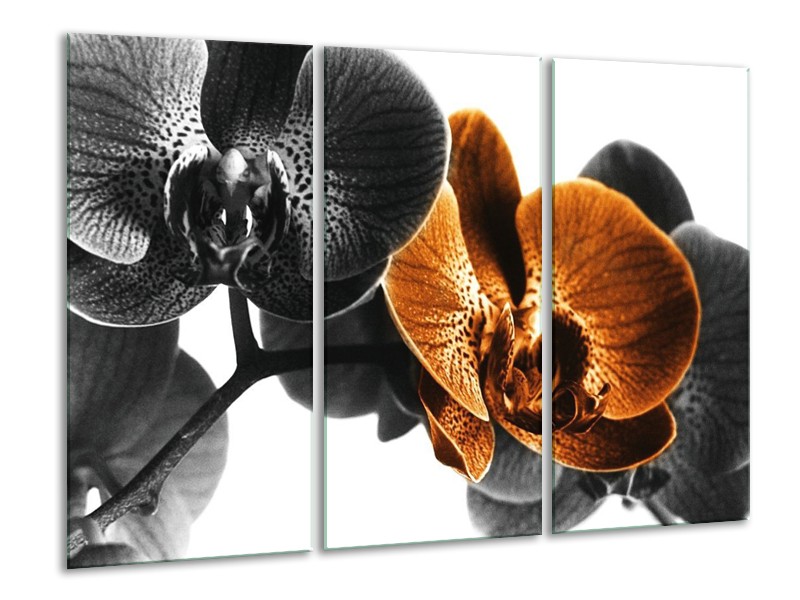 Canvas schilderij Orchidee | Zwart, Wit, Oranje | 120x80cm 3Luik
