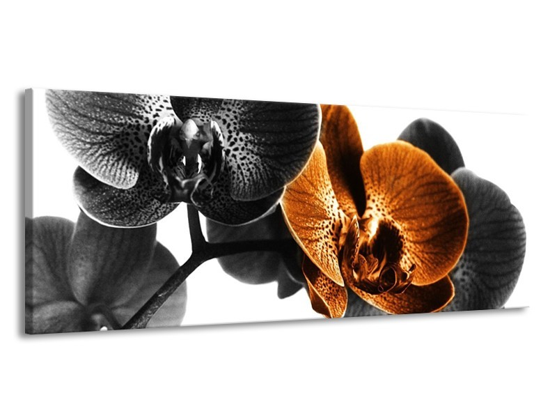 Canvas schilderij Orchidee | Zwart, Wit, Oranje | 145x58cm 1Luik