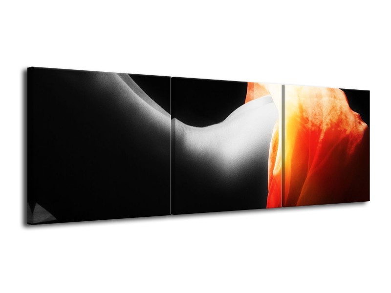 Canvas schilderij Lichaam | Zwart, Wit, Oranje | 120x40cm 3Luik