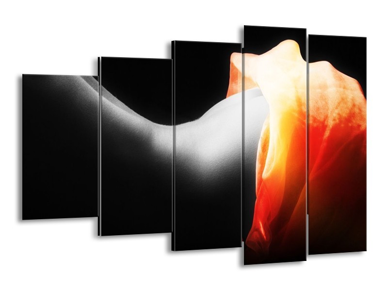Glas schilderij Lichaam | Zwart, Wit, Oranje | 150x100cm 5Luik