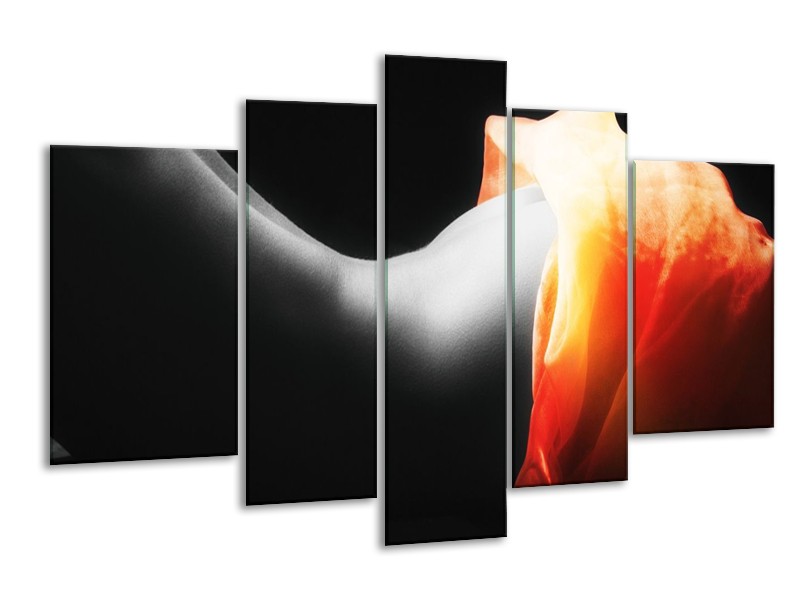 Canvas schilderij Lichaam | Zwart, Wit, Oranje | 170x100cm 5Luik