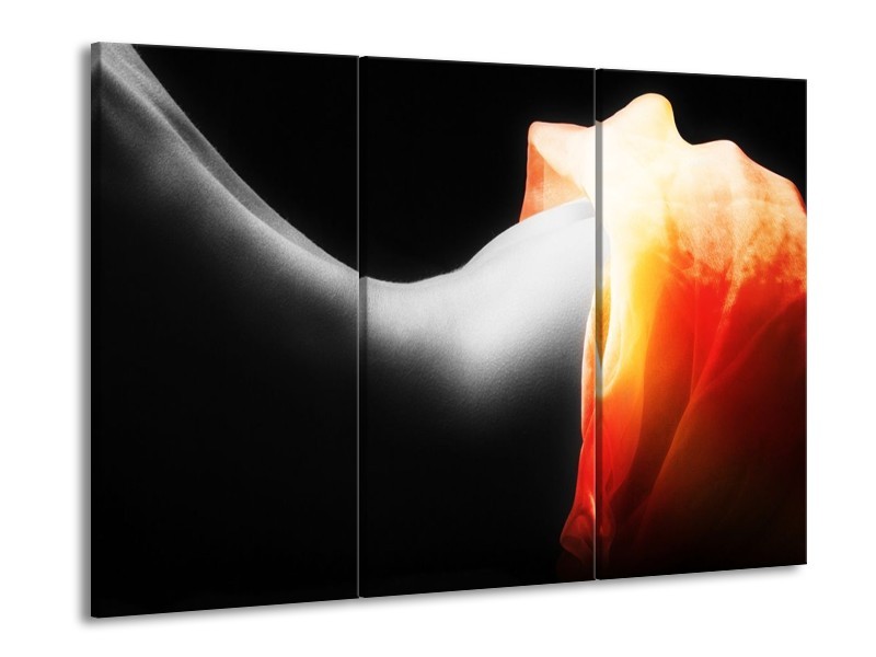 Glas schilderij Lichaam | Zwart, Wit, Oranje | 90x60cm 3Luik