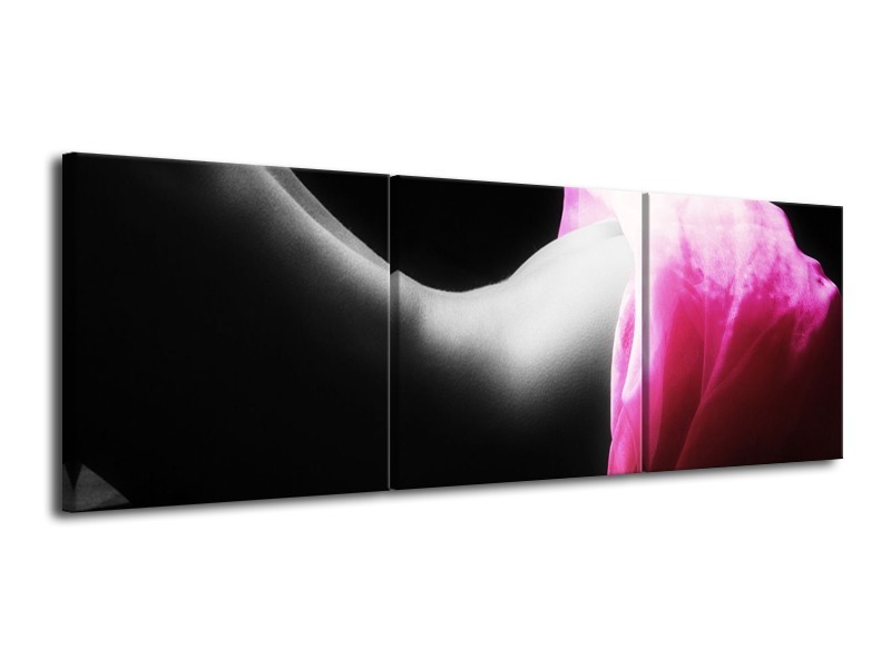 Canvas schilderij Lichaam | Zwart, Wit, Roze | 120x40cm 3Luik