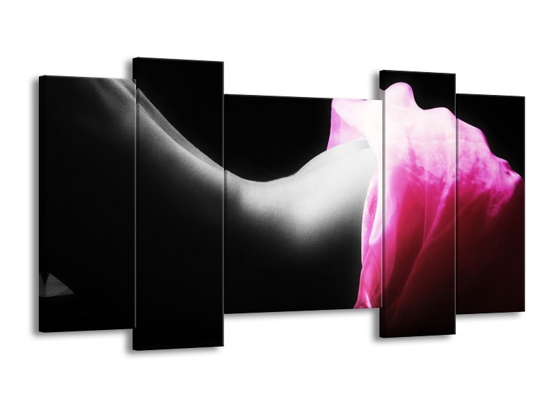 Canvas schilderij Lichaam | Zwart, Wit, Roze | 120x65 5Luik