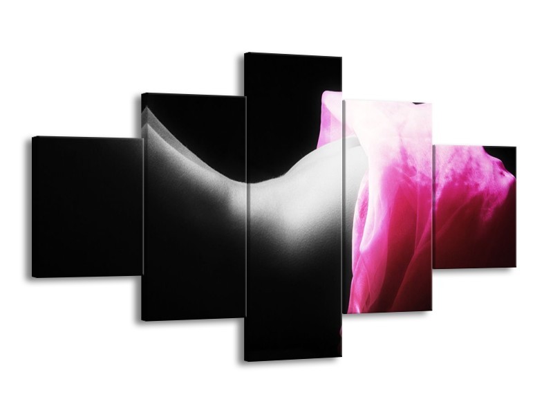 Canvas schilderij Lichaam | Zwart, Wit, Roze | 125x70cm 5Luik