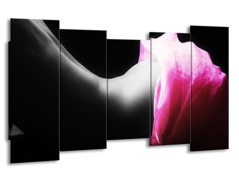 Canvas schilderij Lichaam | Zwart, Wit, Roze | 150x80cm 5Luik