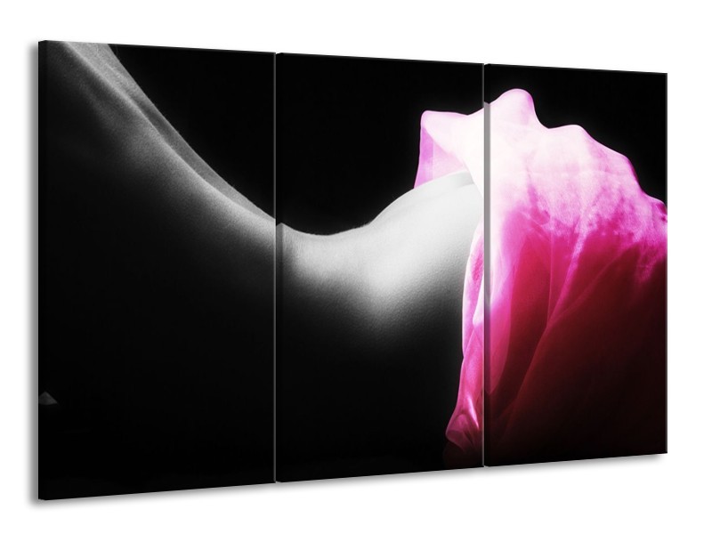 Canvas schilderij Lichaam | Zwart, Wit, Roze | 165x100cm 3Luik