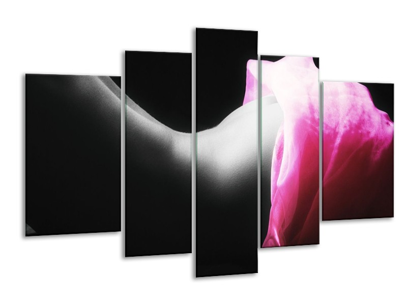 Canvas schilderij Lichaam | Zwart, Wit, Roze | 170x100cm 5Luik
