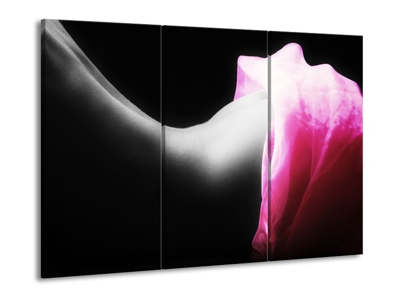 Canvas schilderij Lichaam | Zwart, Wit, Roze | 90x60cm 3Luik