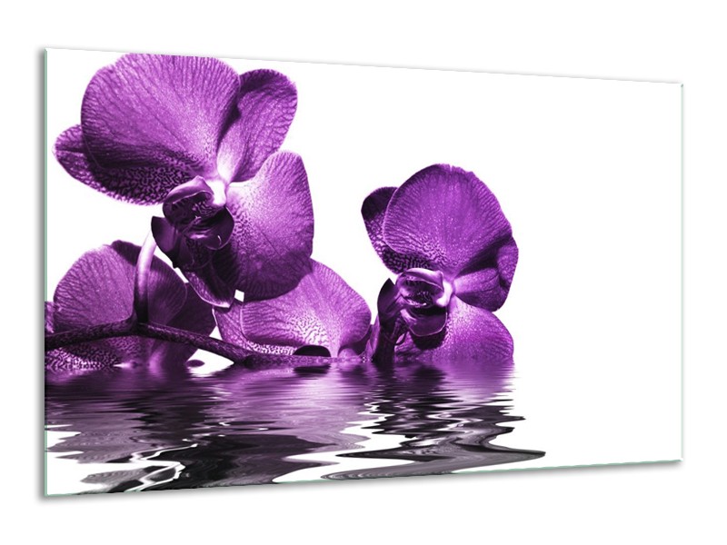 Canvas schilderij Orchidee | Paars, Wit | 120x70cm 1Luik