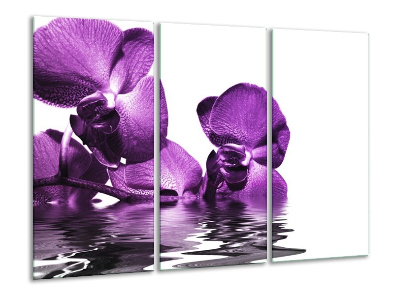 Canvas schilderij Orchidee | Paars, Wit | 120x80cm 3Luik