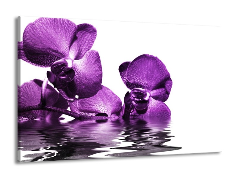 Canvas schilderij Orchidee | Paars, Wit | 140x90cm 1Luik