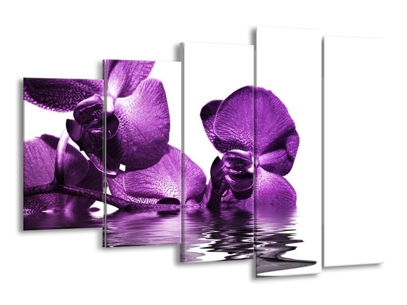 Canvas schilderij Orchidee | Paars, Wit | 150x100cm 5Luik