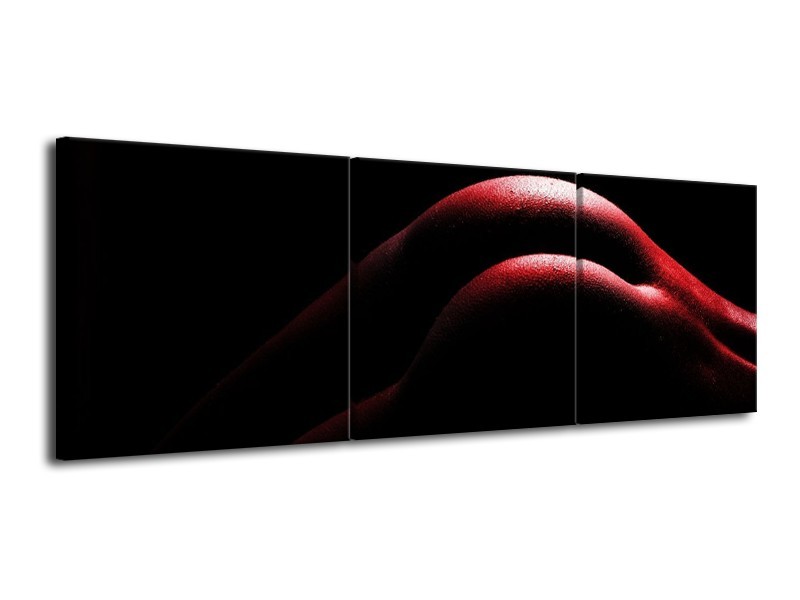 Canvas schilderij Lichaam | Zwart, Rood | 120x40cm 3Luik
