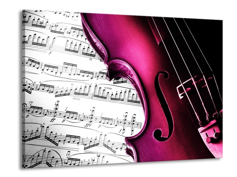 Glas schilderij Instrument | Zwart, Wit, Roze | 100x70cm 1Luik