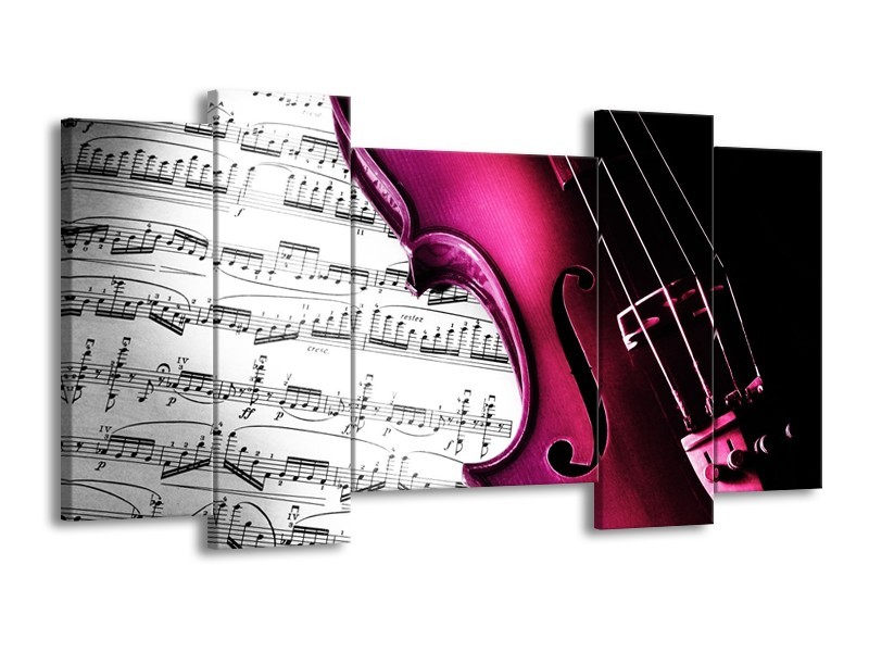Glas schilderij Instrument | Zwart, Wit, Roze | 120x65cm 5Luik
