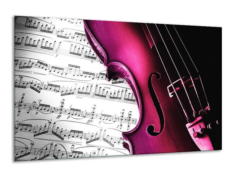 Glas schilderij Instrument | Zwart, Wit, Roze | 120x70cm 1Luik