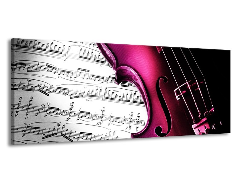 Glas schilderij Instrument | Zwart, Wit, Roze | 145x58cm 1Luik