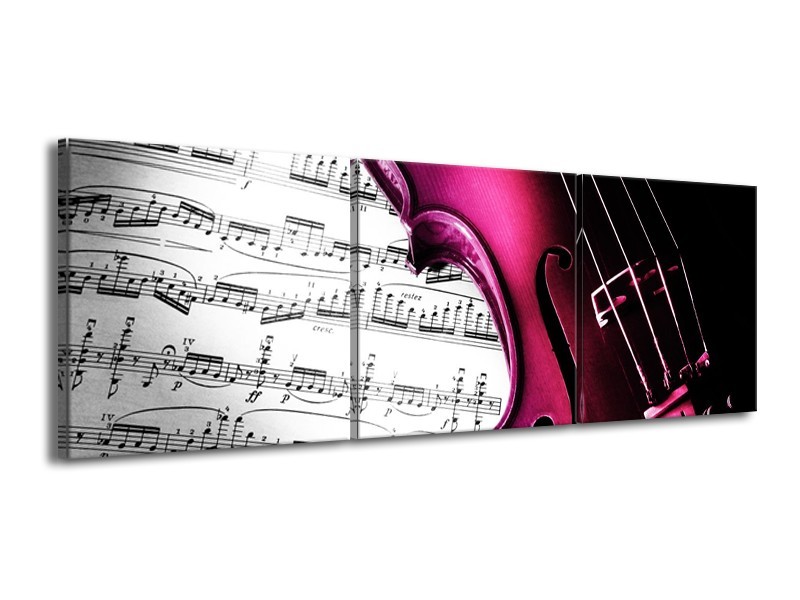 Glas schilderij Instrument | Zwart, Wit, Roze | 150x50cm 3Luik