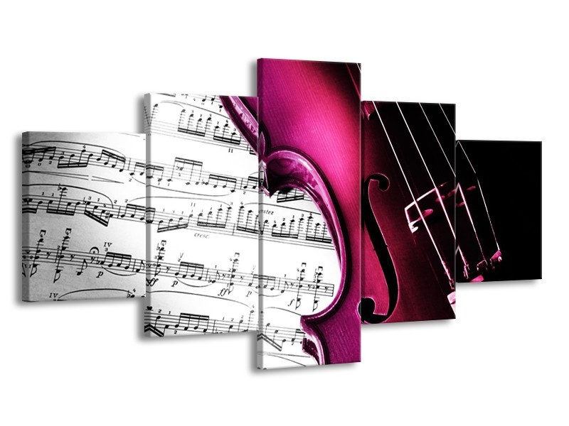 Glas schilderij Instrument | Zwart, Wit, Roze | 150x80cm 5Luik