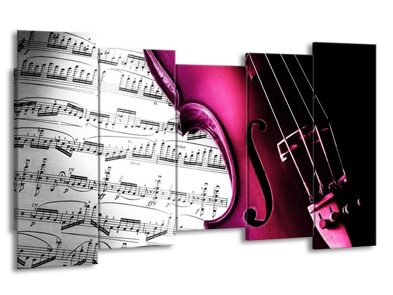 Glas schilderij Instrument | Zwart, Wit, Roze | 150x80cm 5Luik