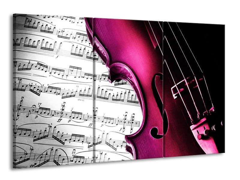 Glas schilderij Instrument | Zwart, Wit, Roze | 165x100cm 3Luik