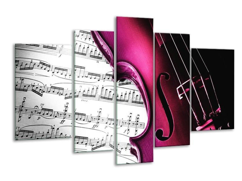 Glas schilderij Instrument | Zwart, Wit, Roze | 170x100cm 5Luik