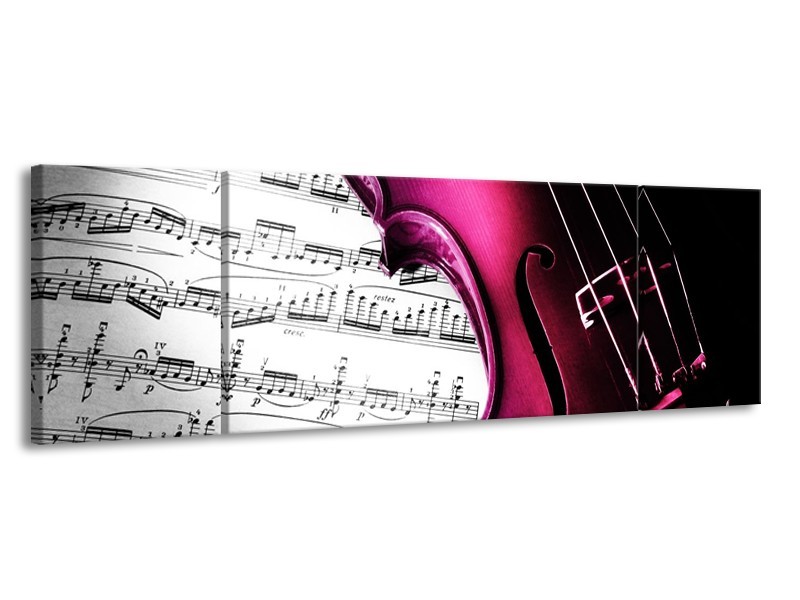 Glas schilderij Instrument | Zwart, Wit, Roze | 170x50cm 3Luik