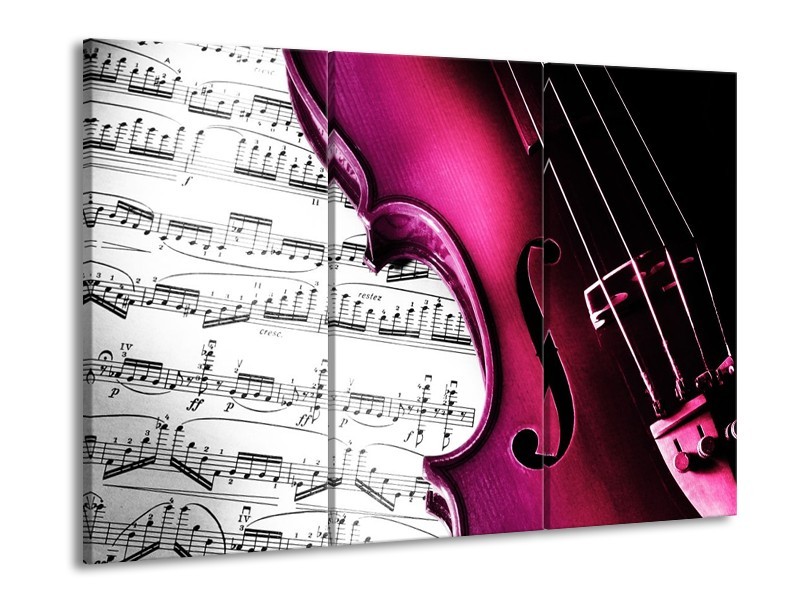 Glas schilderij Instrument | Zwart, Wit, Roze | 90x60cm 3Luik