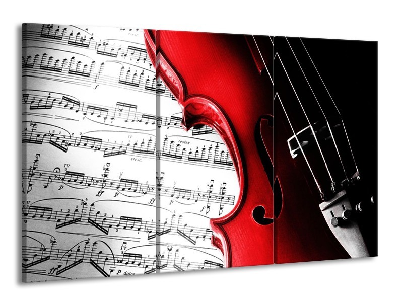 Glas schilderij Instrument | Zwart, Wit, Rood | 165x100cm 3Luik