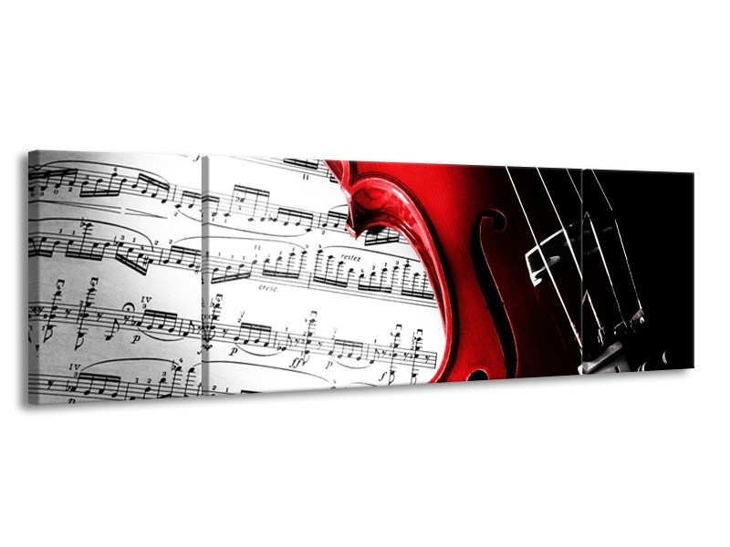 Glas schilderij Instrument | Zwart, Wit, Rood | 170x50cm 3Luik